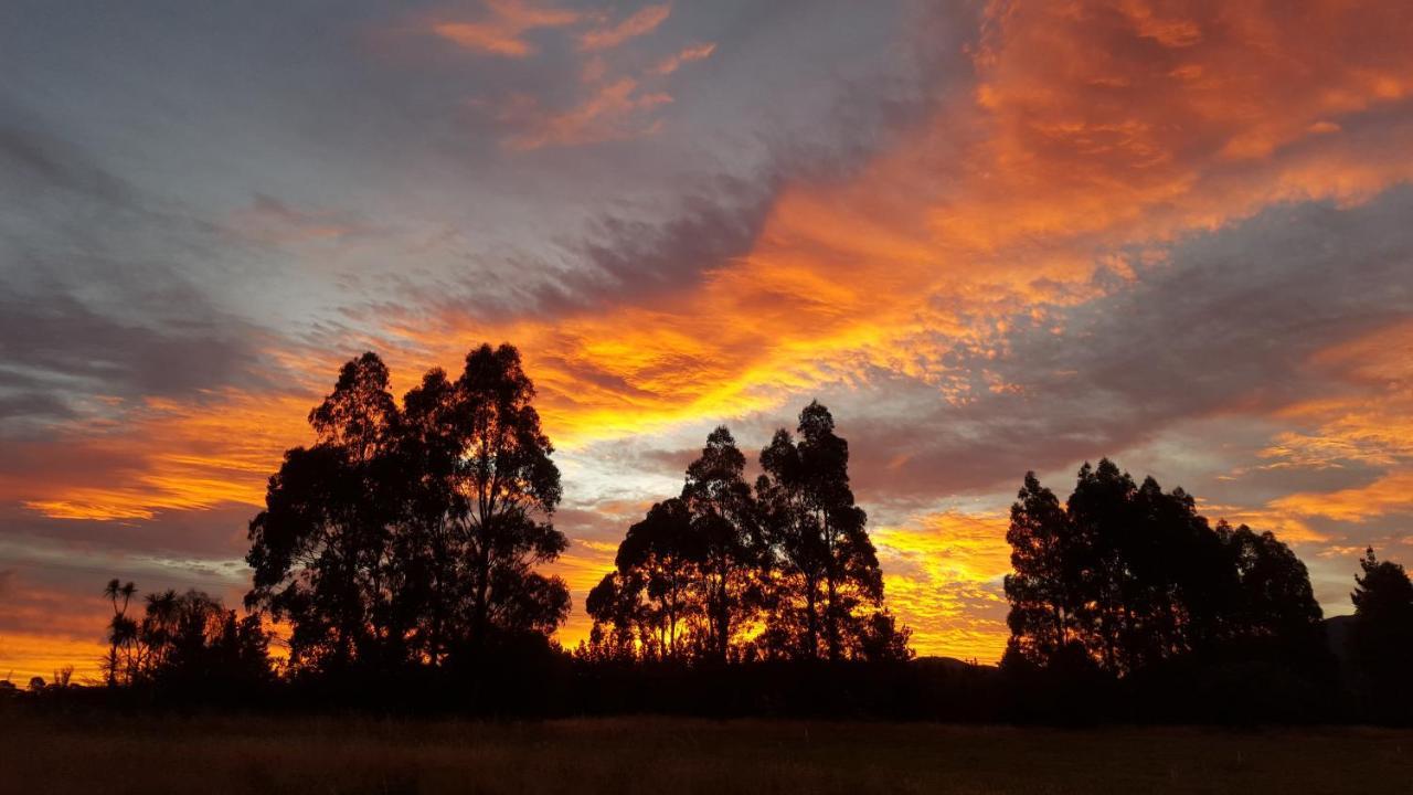 Woodside Orchard Hotell Greytown Eksteriør bilde